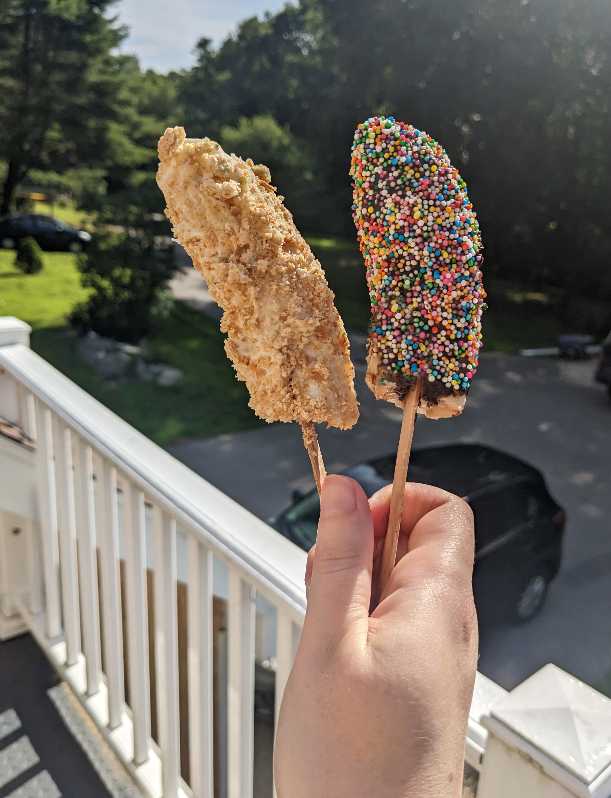 frozen banana pops with sprinkles and graham cracker crumb topping